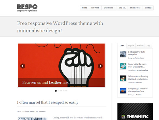 wp-responsive-theme-16